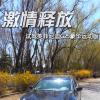 车评头条：激情释放 试驾英菲尼迪G25豪华运动版