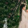 司藤为什么有两个结局 剧版双结局皆圆满但小说结局更好