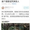 萧山一挖笋人把百年祖坟给挖了？清明假期挖笋人事件详情始末介绍