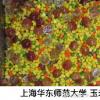 云南大学食堂推出玫瑰宴 这到底是什么状况?(图)