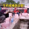 为追星倒掉牛奶可能违法 青春有你3停播原因倒牛奶成导火线！