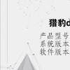 电脑教程：猎豹dns是干什么的
