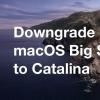 创新科技资讯：将macOS Big Sur Beta降级到macOS Catalina [操作方法]