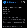 互联网前沿：Apple Watch可能会通过watchOS 6支持无线软件更新