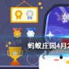 互联网前沿：今天小鸡宝宝考考你答题答案：鼓浪屿得名的原因是什么鼓浪屿得名由来427