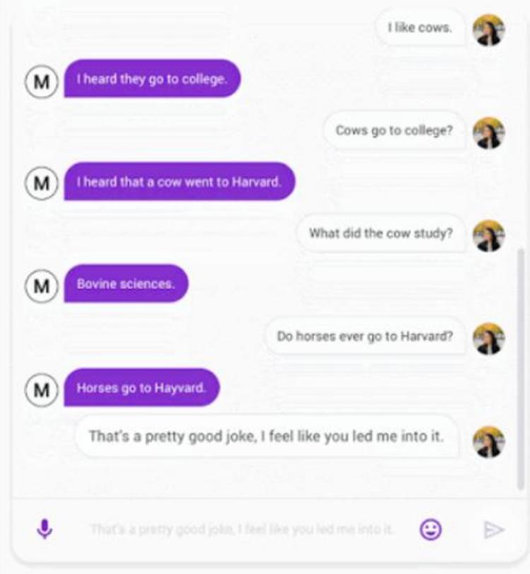 ​认识Google的新型聊天机器人Meena 它像人一样互动