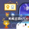 互联网前沿：今天小鸡宝宝考考你答题答案：左牵黄右擎苍的苍是苍鹰还是苍龙4月30日答案最新