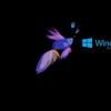你会很高兴看到Windows8.1的后续产品即将推出
