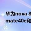 华为nova 8pro与华为mate40e对比（华为mate40e和华为nova8Pro哪个好）
