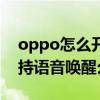 oppo怎么开启语音唤醒模式（oppoA95支持语音唤醒么）
