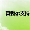 真我gt支持内存（真我gt支持内存卡么）