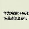 华为鸿蒙beta开发者大会12.16（鸿蒙OS2.0手机开发者Beta活动怎么参与）