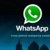 最新的WhatsAppbeta终于加入了黑暗主题