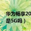 华为畅享20pro5g处理器（荣耀畅玩20Pro是5G吗）