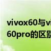 vivox60与vivox60pro 区别（荣耀60和荣耀60pro的区别）