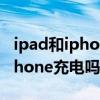 ipad和iphone充电线通用吗（iPad可以给iPhone充电吗）