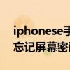 iphonese手机忘记密码怎么办（iphoneSE忘记屏幕密码怎么办）