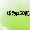 华为p50配色(华为P50有什么新配色) 华为p50配色(华为P50有什么新配色)