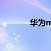 华为mate40智感支付安全吗