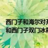 西门子和海尔对开门冰箱哪个好（求大神解答海尔双门冰箱和西门子双门冰箱哪个好）
