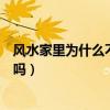 风水家里为什么不可以放假花（小白求问风水家中放假花好吗）
