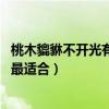 桃木貔貅不开光有功效吗（小白求助桃木貔貅怎么开光 那天最适合）