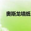 奥斯龙墙纸（奥斯龙墙纸价格一般多高）