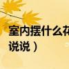室内摆什么花好风水(房子摆什么花好谁可以说说) 室内摆什么花好风水(房子摆什么花好谁可以说说)