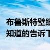 布鲁斯特壁纸是几线品牌（布鲁斯特壁纸贵吗知道的告诉下）