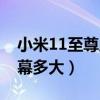 小米11至尊版后面的屏幕（小米11至尊版屏幕多大）