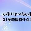 小米11pro与小米11至尊版选哪个好（小米11青春版和小米11至尊版有什么区别）