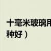 十毫米玻璃用什么玻璃刀（哪位说说玻璃刀哪种好）