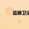 蓝藤卫浴怎么用（蓝藤卫浴如何）