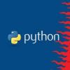借助终极Python程序员的Bootcamp包