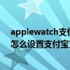 applewatch支付宝离线支付限额（AppleWatchSeries6怎么设置支付宝支付）