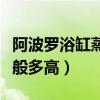 阿波罗浴缸蒸汽房一体（阿波罗蒸汽房价格一般多高）
