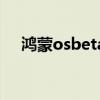 鸿蒙osbeta3评测（鸿蒙beta3怎么样）