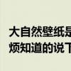 大自然壁纸是几线品牌（大自然壁纸价格表麻烦知道的说下）