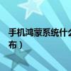 手机鸿蒙系统什么时候发布（手机鸿蒙操作系统什么时候发布）