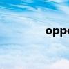 oppofindx3pro(oppo) oppofindx3pro(oppo)