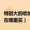 特别大的收纳箱在哪买（求问各位大神收纳箱在哪里买）