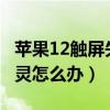 苹果12触屏失灵怎么解决（iPhone12触屏失灵怎么办）