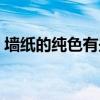 墙纸的纯色有些什么（纯色条纹墙纸是什么）