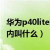 华为p40lite国内叫什么名字（华为P40lite国内叫什么）