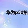 华为p50拍照技巧（华为p50拍照技巧）