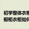 初学整体衣柜橱柜怎样入门（求大神说下整体橱柜衣柜如何）