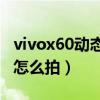 vivox60动态照片怎么拍（vivoX50动态照片怎么拍）
