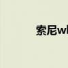 索尼wh910n耳机（索尼WH）