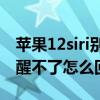 苹果12siri别人怎么也能唤醒（苹果12Siri唤醒不了怎么回事）