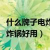 什么牌子电炸锅好又耐用（请问什么牌子的电炸锅好用）